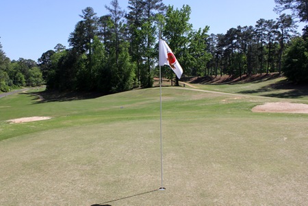 Host EMCC Lions look to MACJC State Golf Championship after placing seventh at Lion Hills